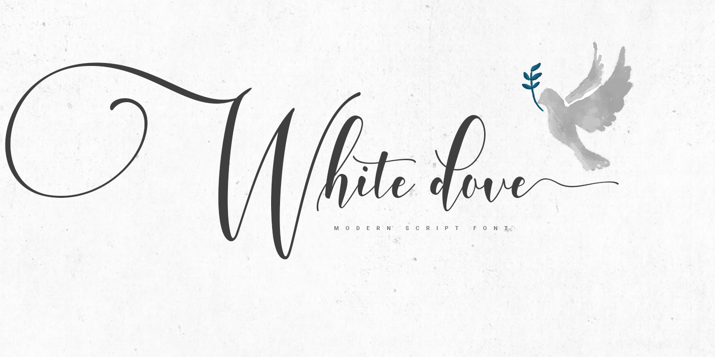 Font White Dove Script